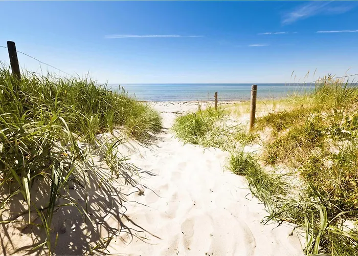 Ifa Graal-müritz Hotel&spa Hotel 4*